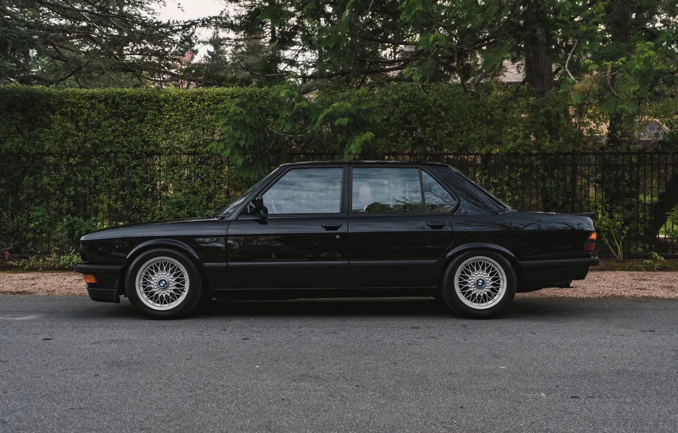 Фото обои BMW, E28, 1988, M5