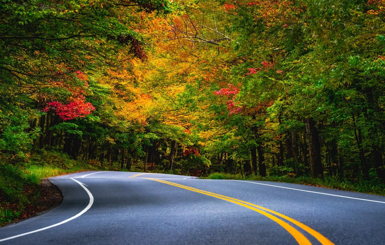 Фото обои дорога, осень, лес, деревья, разметка, поворот, Vermont, Вермонт