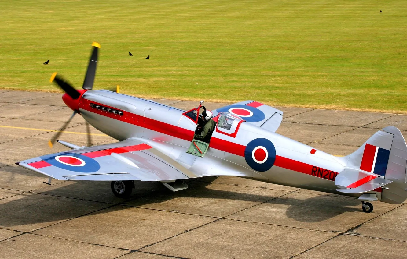 Фото обои пилот, самолёт, британский, взлётное поле, готовность к взлёту, Supermarine Spitfire Mk.XIV, скоростной истребитель