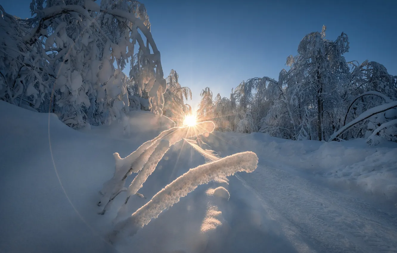 Фото обои зима, дорога, снег, деревья, сугробы, Россия, Пермский край, Андрей Чиж