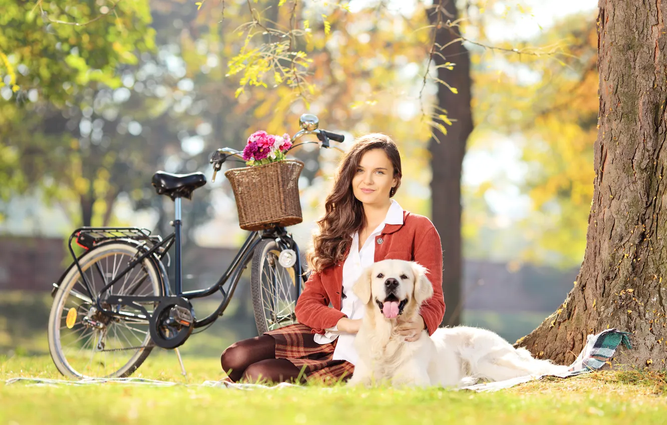 Фото обои взгляд, девушка, цветы, велосипед, улыбка, парк, собака, шатенка