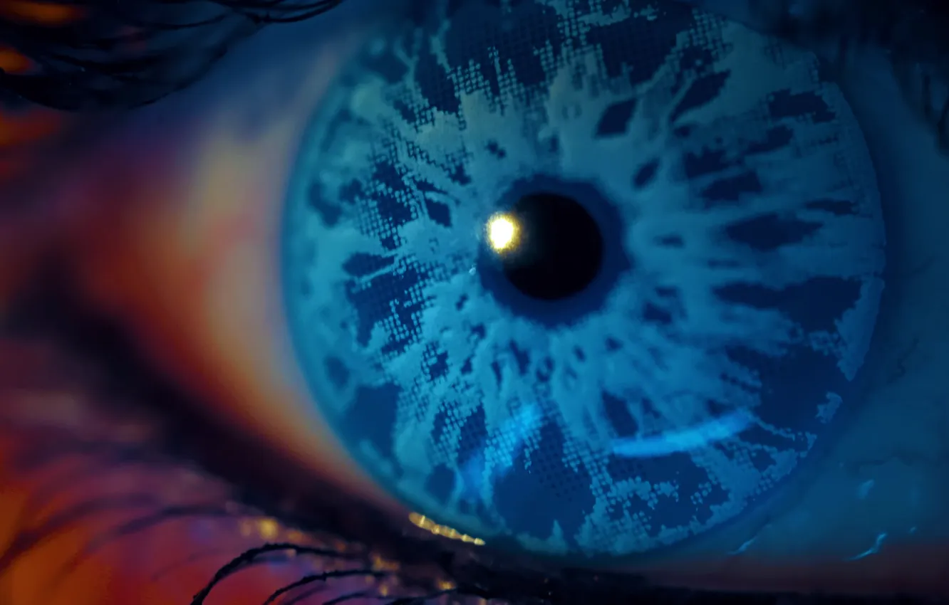 Фото обои eye, human, blu eyes