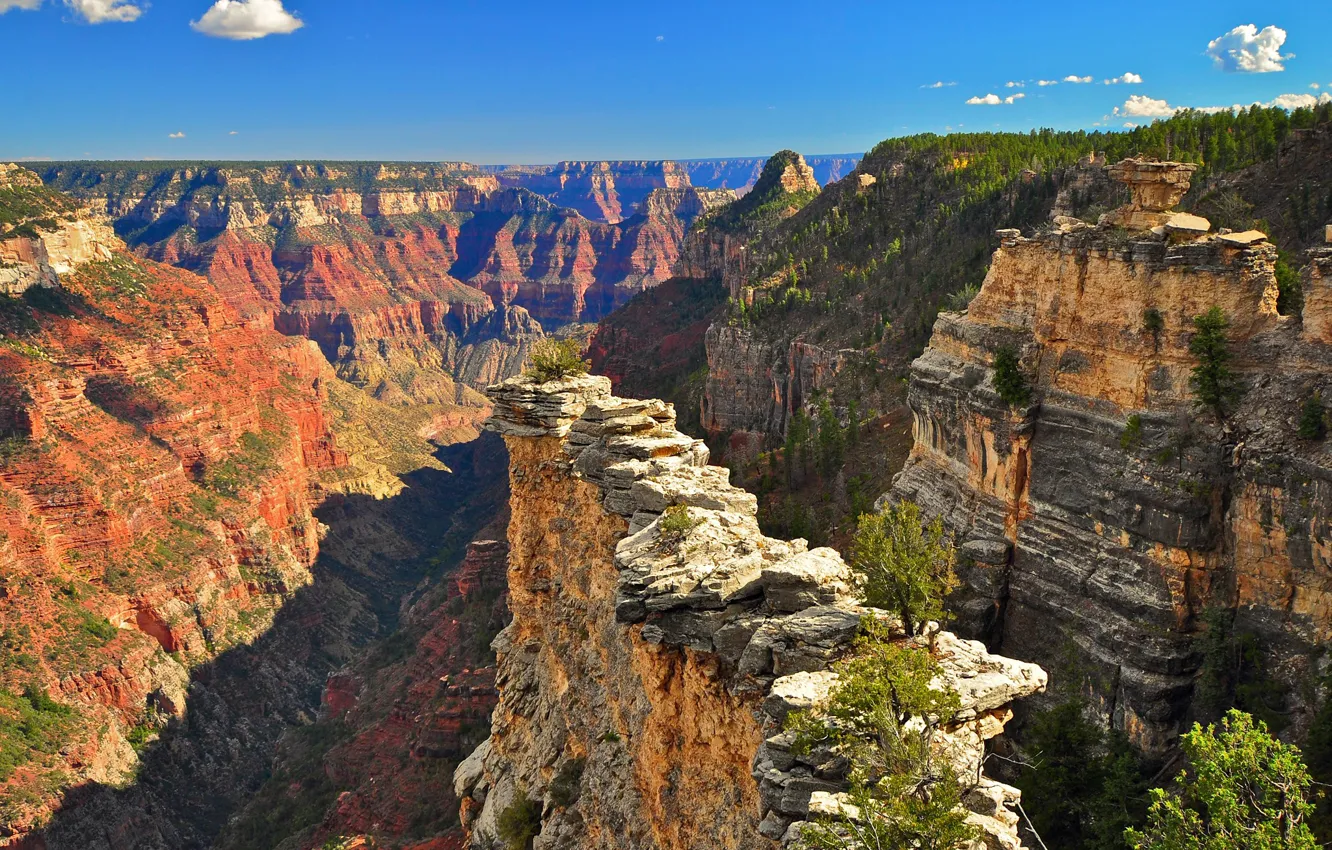 Фото обои небо, облака, деревья, горы, каньон, USA, США, Grand Canyon National Park
