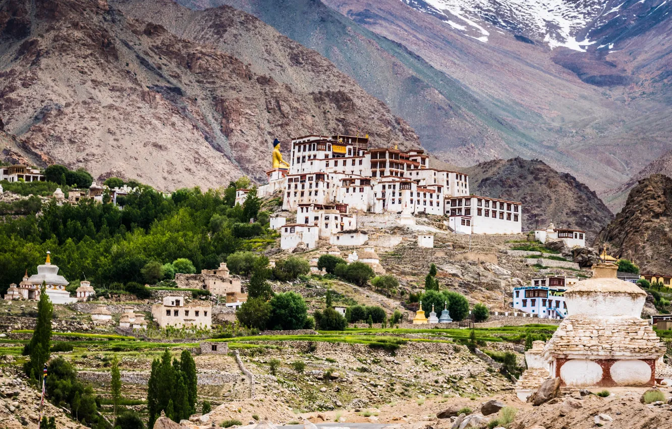 Фото обои деревья, горы, камни, долина, Индия, монастырь, Ladakh, Likir Monastery