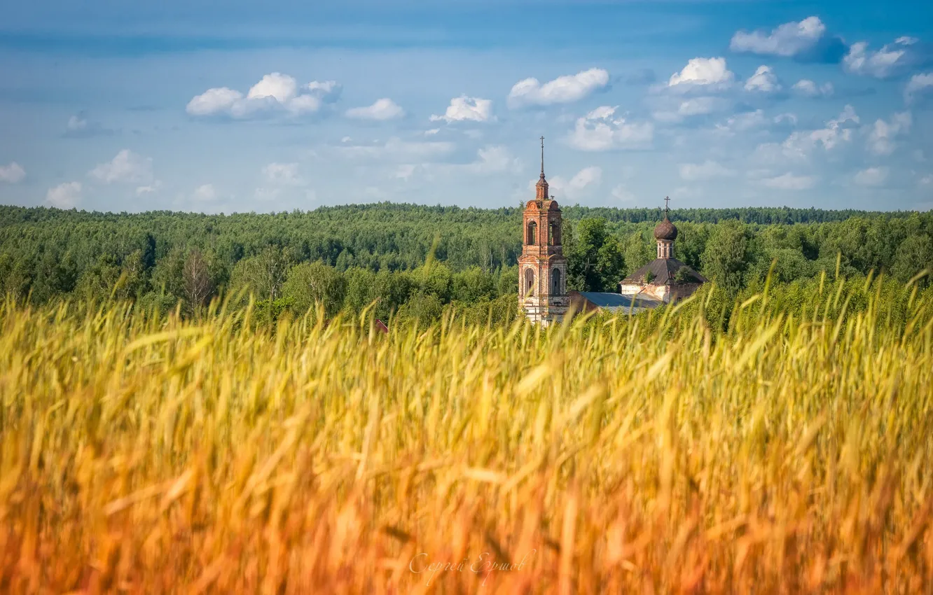 Фото обои поле, лето, церковь, summer, россия, field, просторы, russia