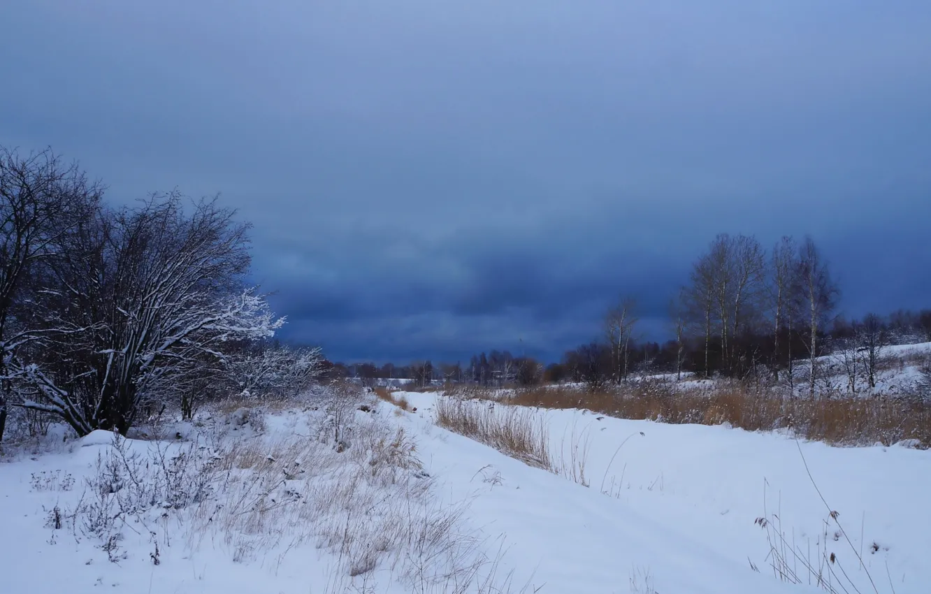 Фото обои field, winter, snow, cold, meadow