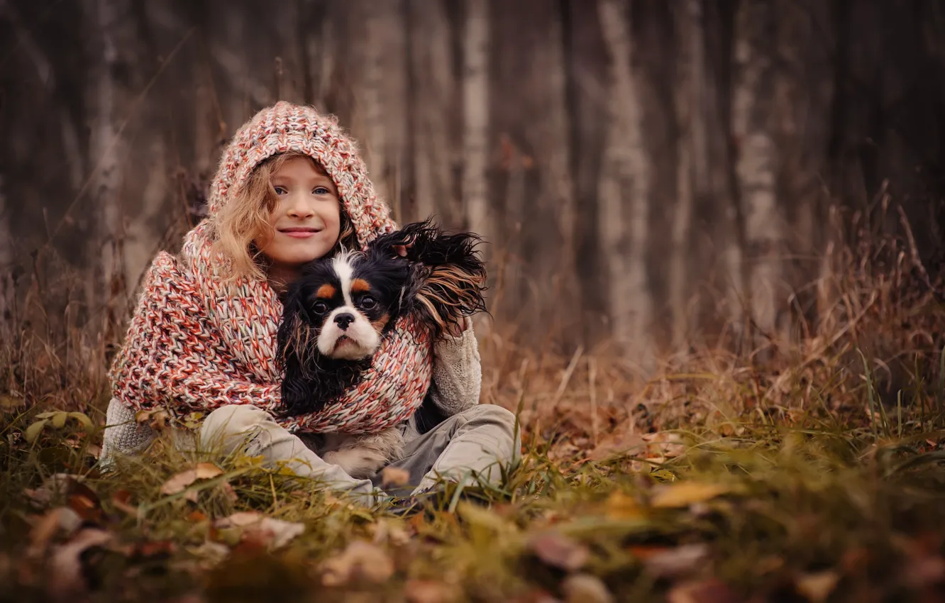 Фото обои осень, трава, листья, деревья, природа, собака, шарф, капюшон