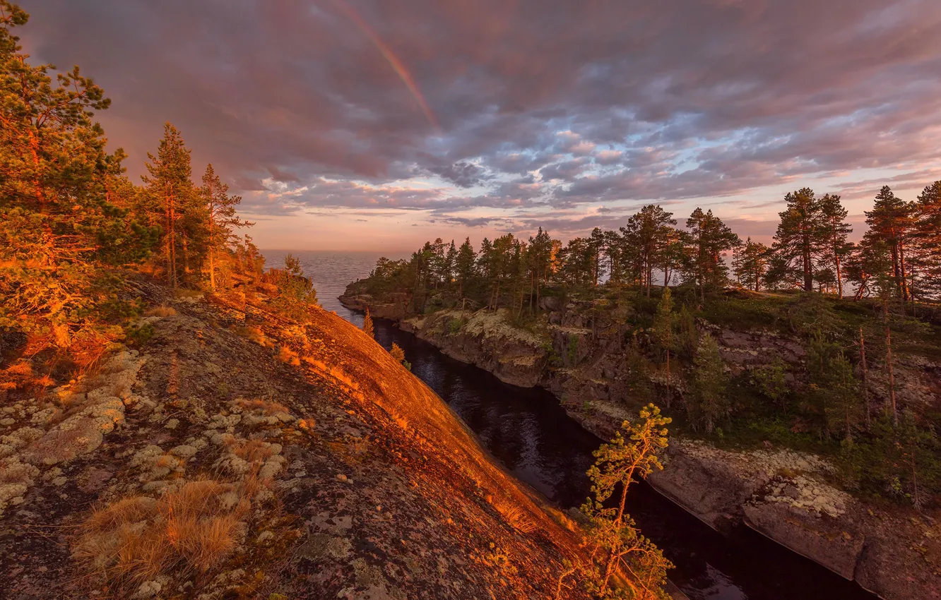 Фото обои осень, лес, горы, радуга, склон