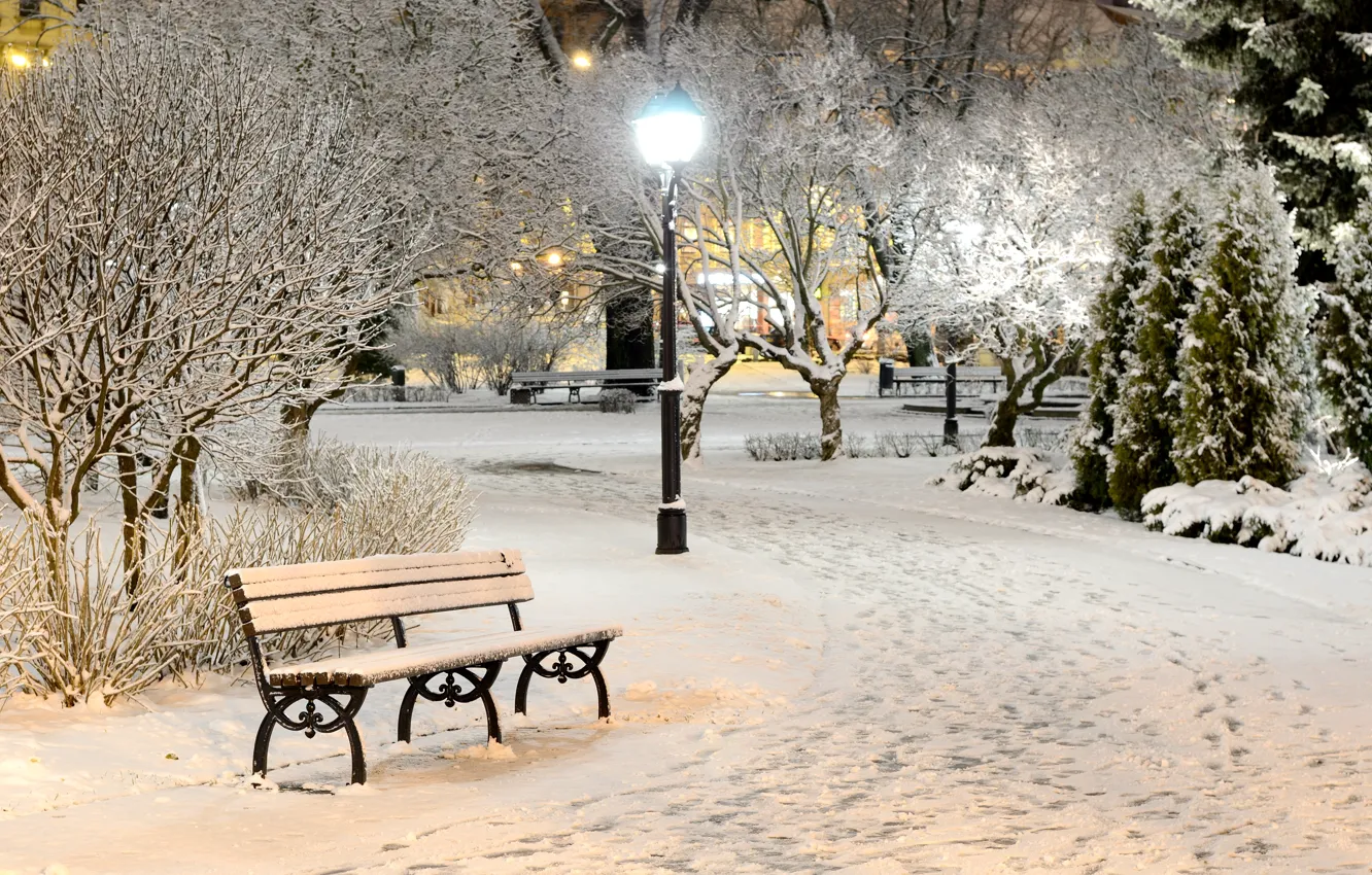 Фото обои зима, свет, снег, деревья, скамейка, природа, парк, вечер