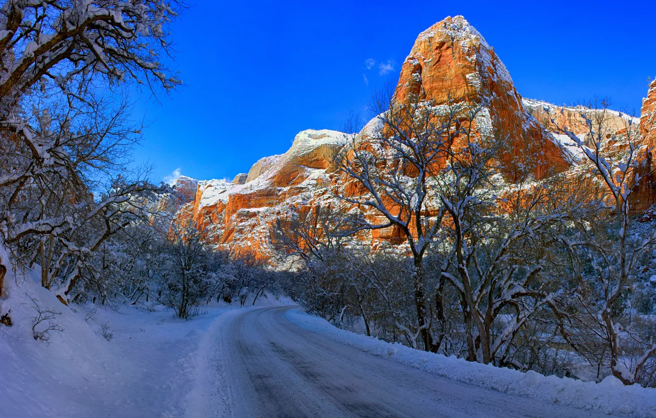 Фото обои зима, дорога, снег, деревья, горы, Юта, Zion National Park, Utah