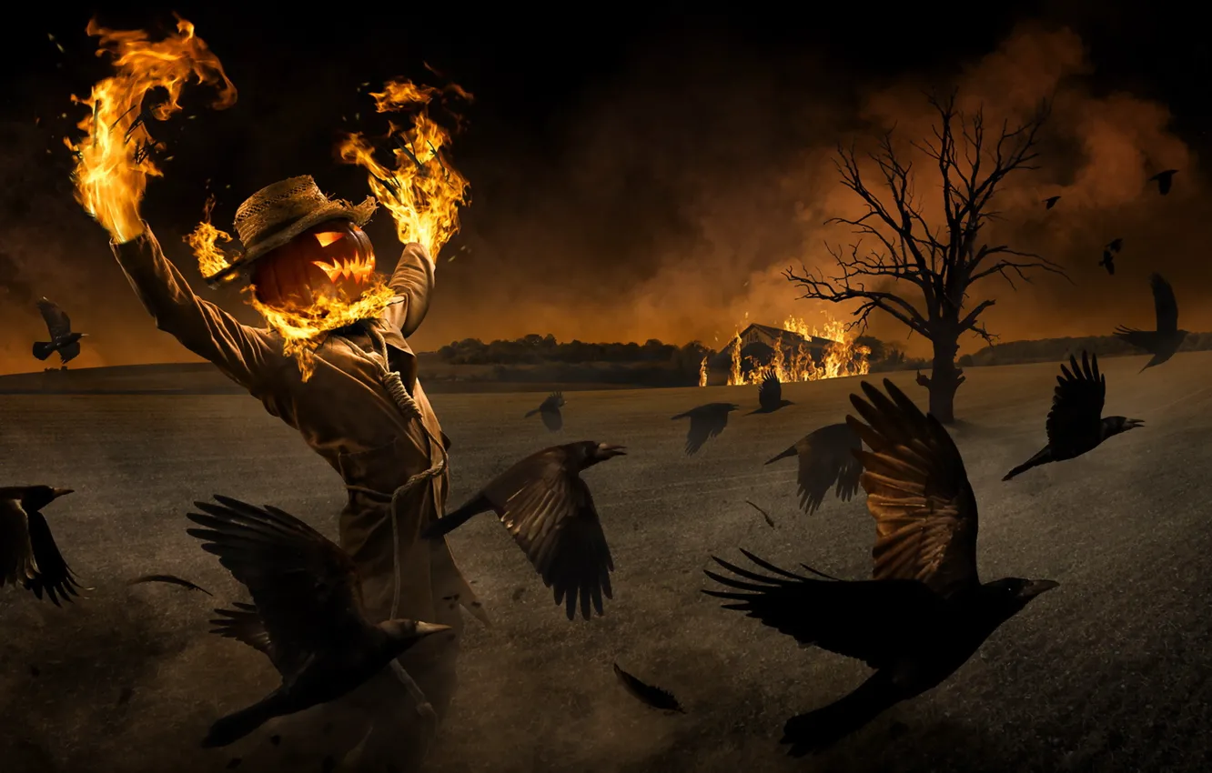 Фото обои Halloween, fire, care, crow, pumpkis, ravens