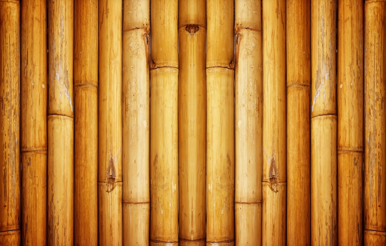 Фото обои wall, bamboo, Pattern
