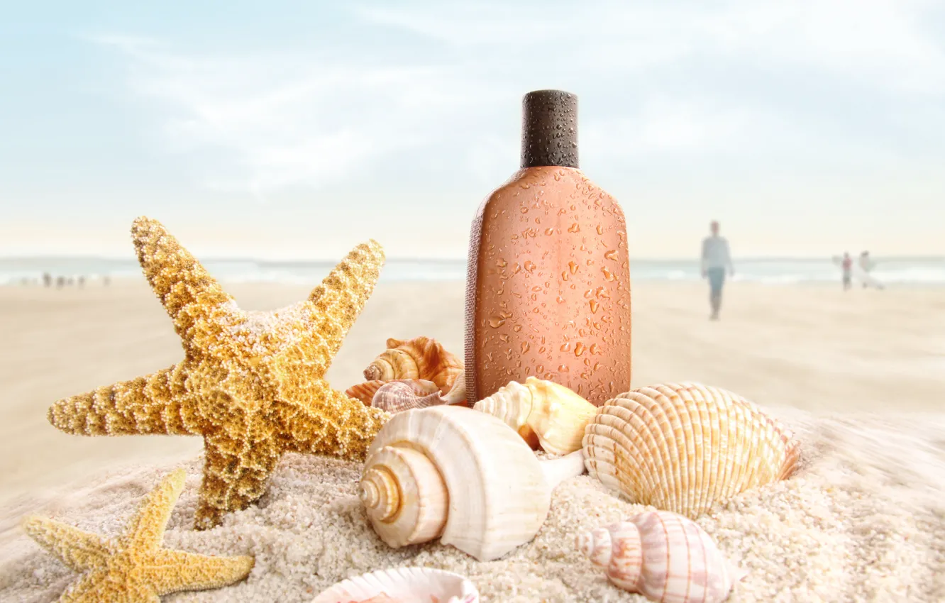 Фото обои песок, пляж, ракушки, морские звёзды