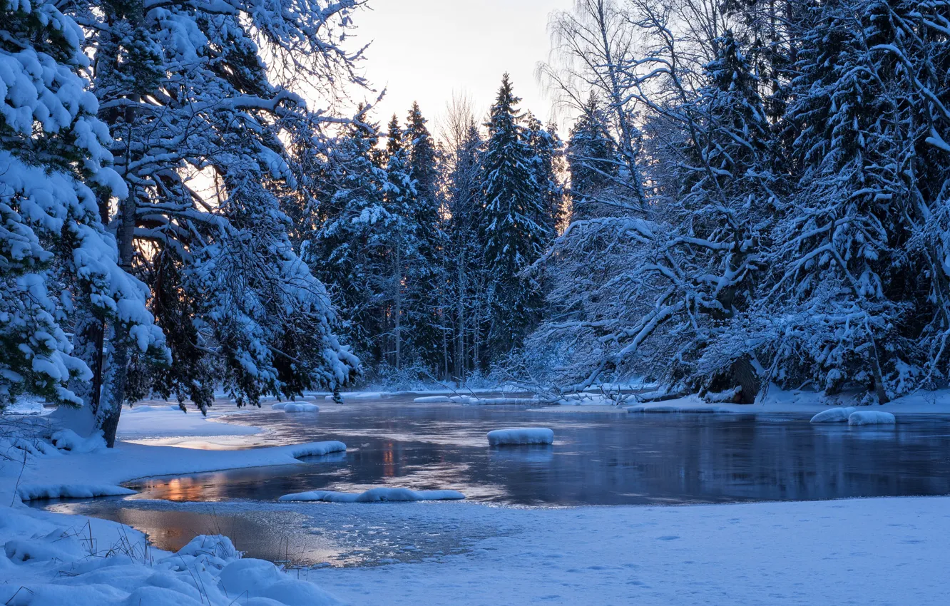 Фото обои зима, лес, вода, снег, деревья, пейзаж, природа, река
