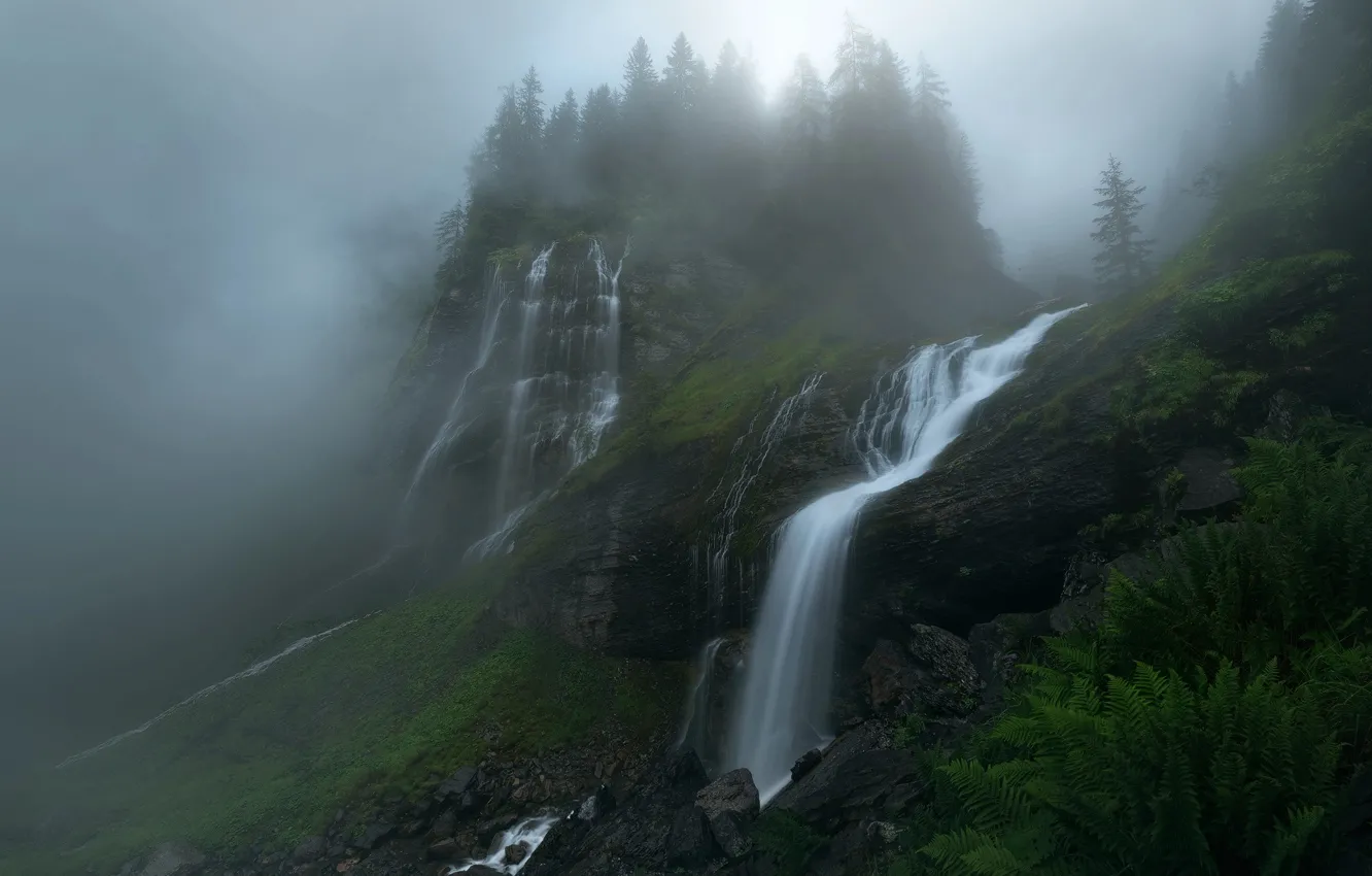 Фото обои лес, деревья, природа, туман, река, скалы, водопад, дымка