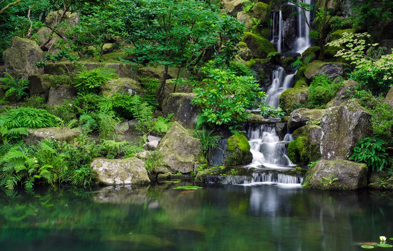 Фото обои зелень, вода, камни