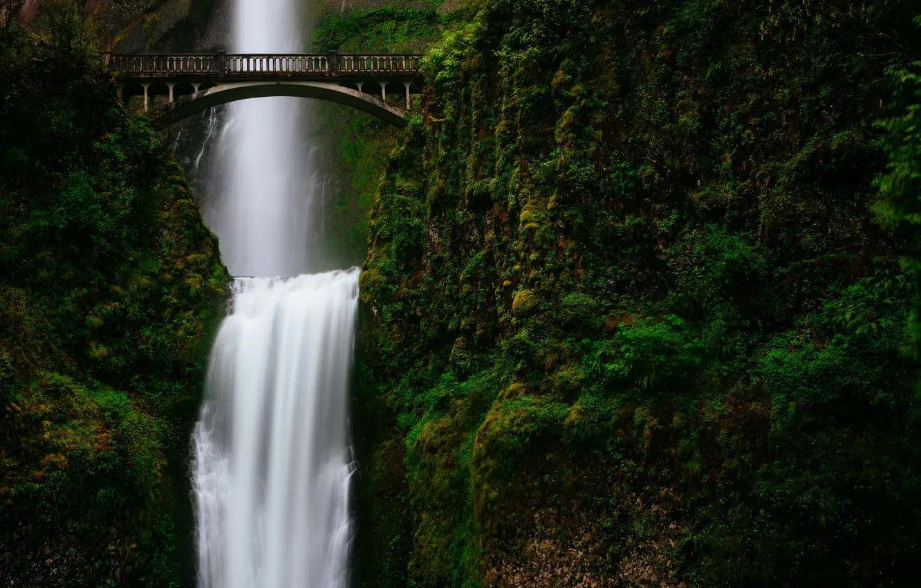 Фото обои зелень, горы, мост, водопад, поток
