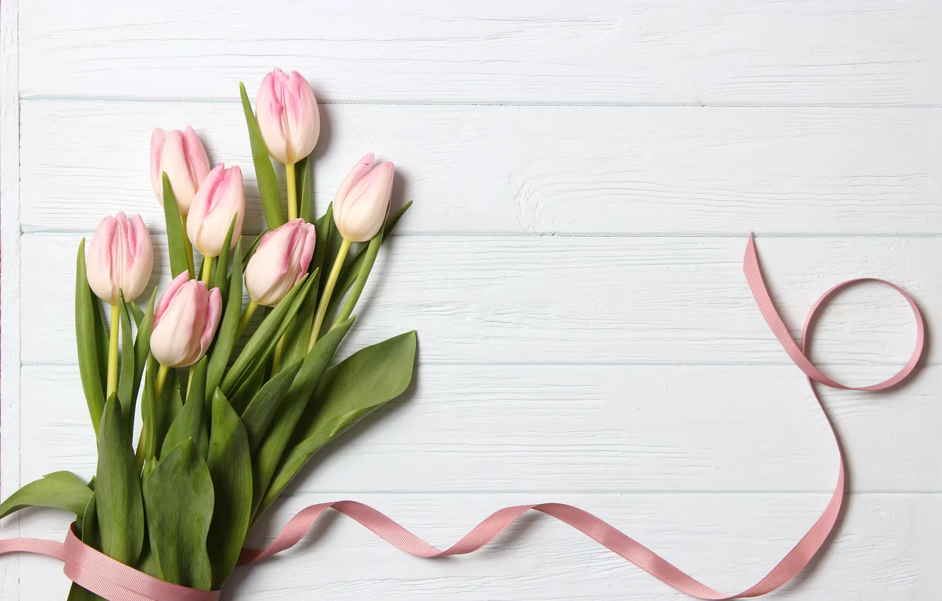Фото обои цветы, букет, лента, тюльпаны, розовые, wood, pink, flowers
