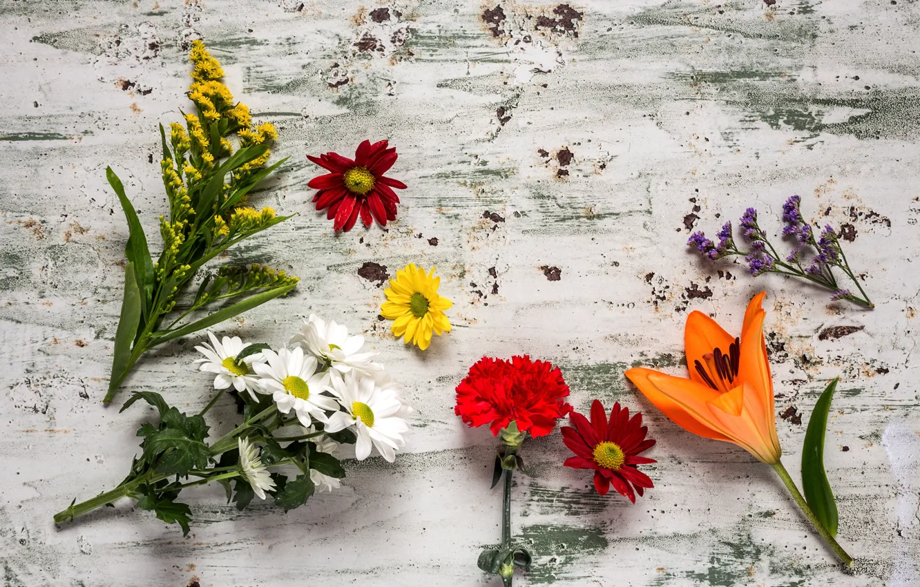 Фото обои цветы, colorful, wood, flowers, composition, floral