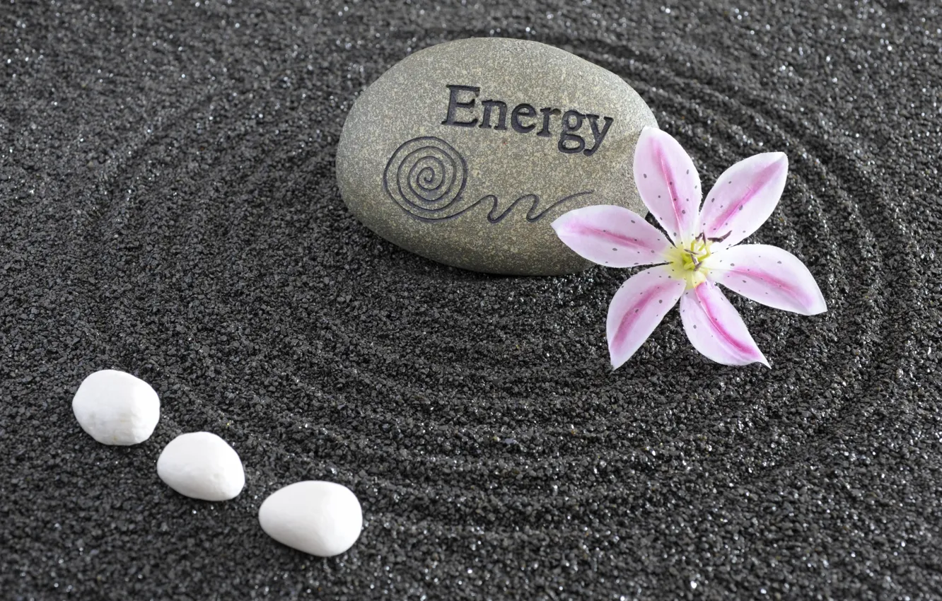Фото обои энергия, цветы, камень, Япония, сад, Japan, stone, Дзен
