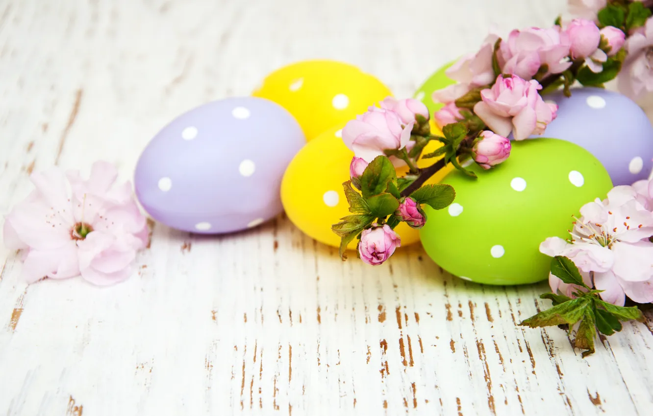 Фото обои цветы, яйца, весна, colorful, Пасха, happy, wood, pink