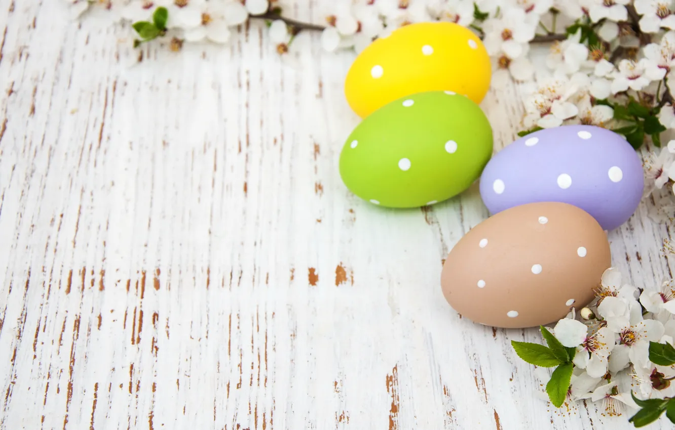 Фото обои цветы, яйца, весна, colorful, Пасха, happy, wood, blossom