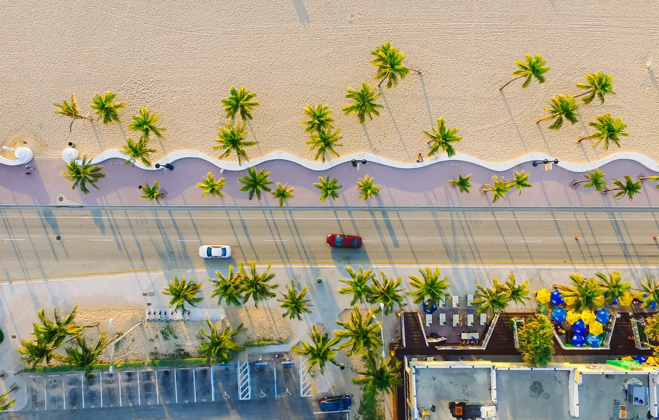 Фото обои дорога, песок, пляж, пальмы, побережье, Флорида, курорт, вид сверху