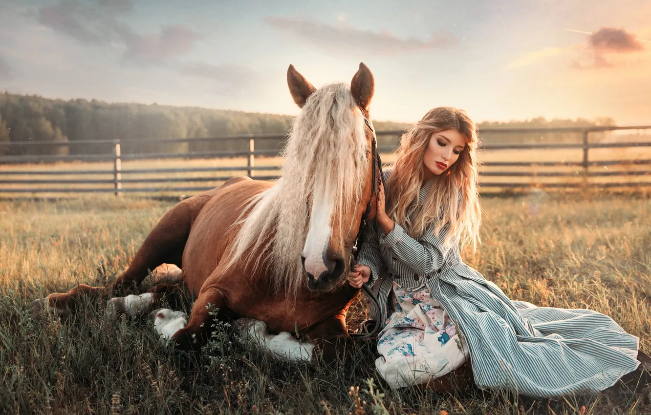 Фото обои поле, лес, лето, трава, девушка, облака, свет, природа