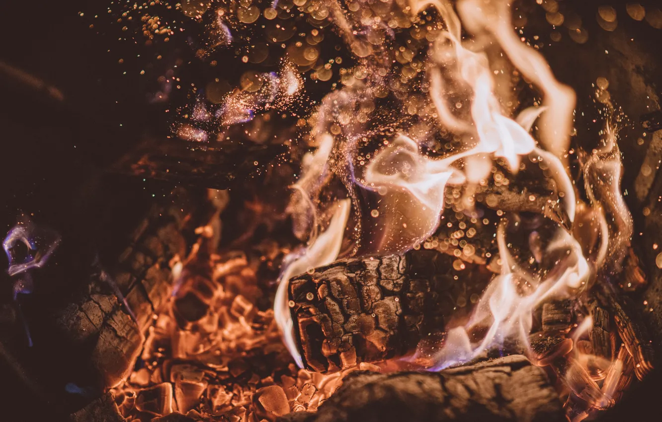 Фото обои пепел, огонь, пламя, костер, дрова, угли, fire