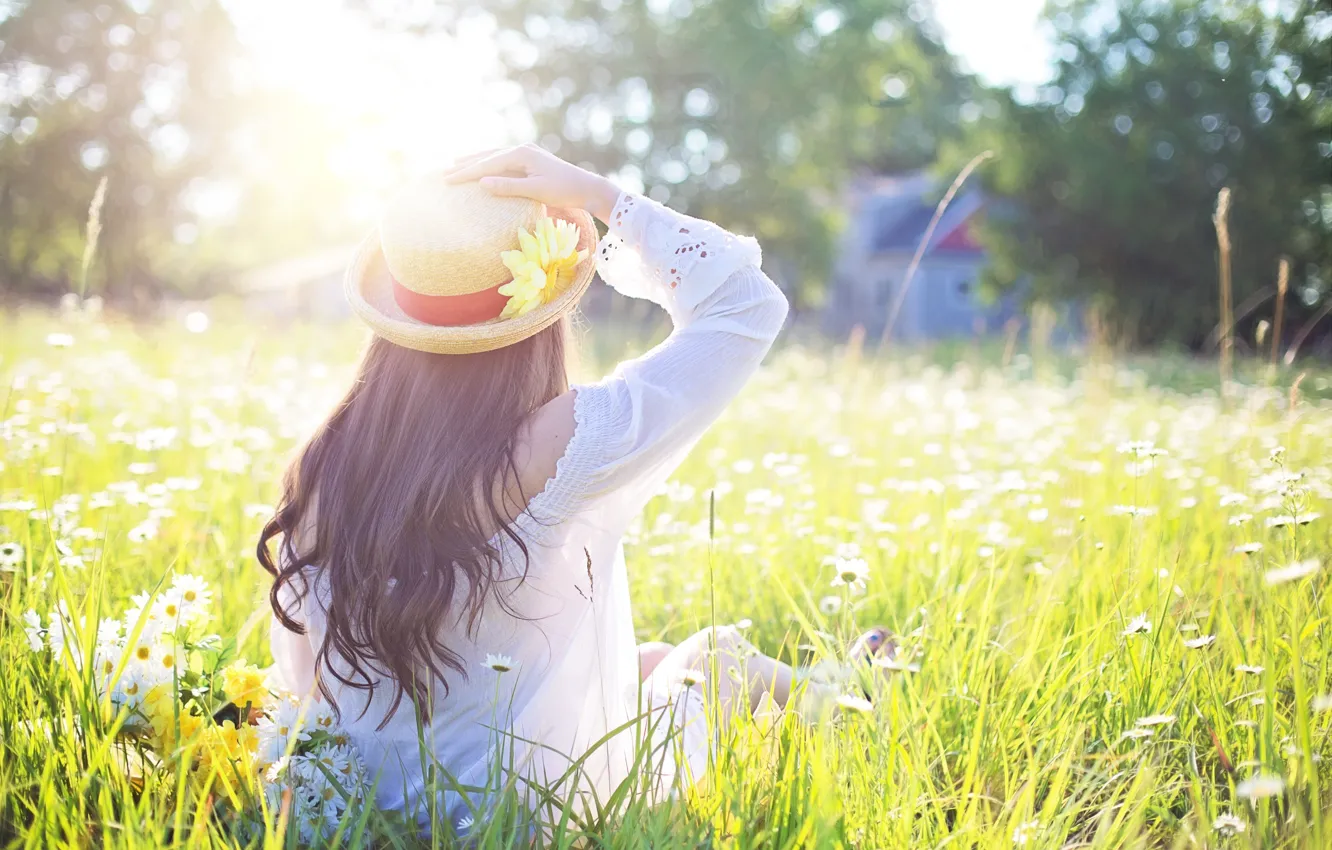 Фото обои лето, девушка, цветы, поляна, шляпка, солнышко