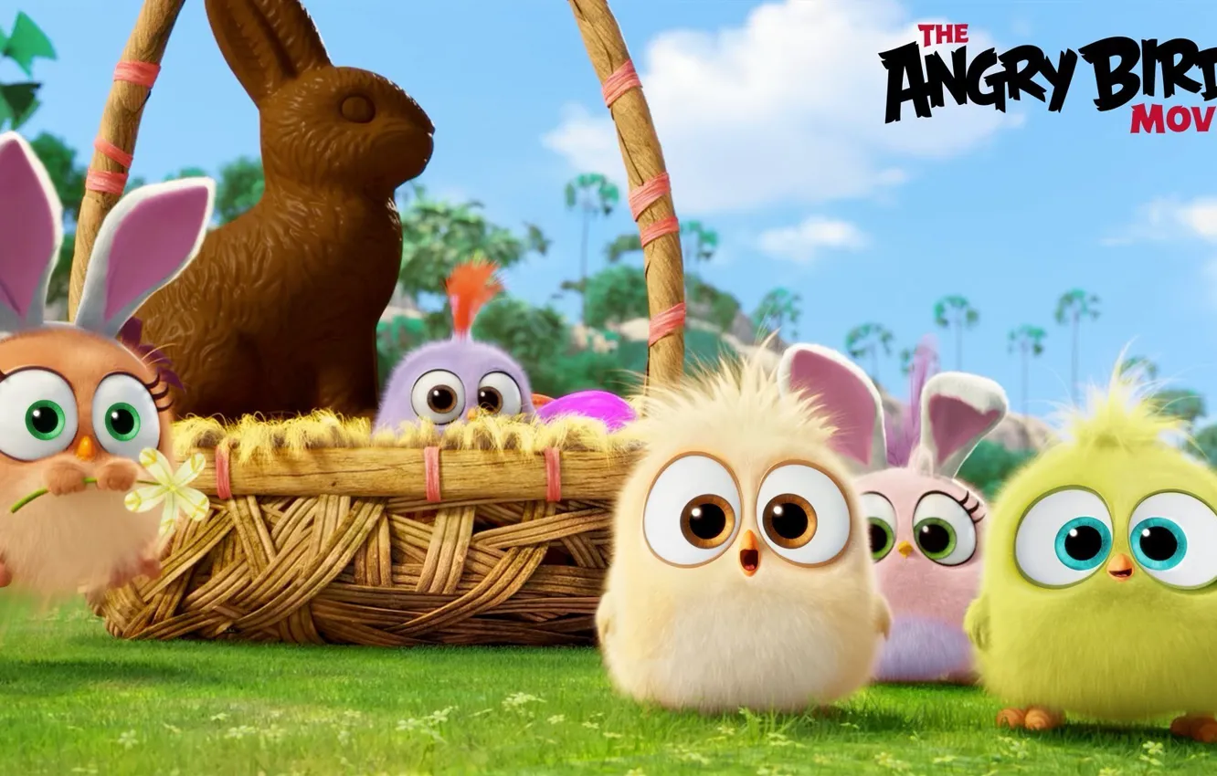 Фото обои мультфильм, шоколад, птички, корзинка, зайчик, Angry Birds Movie