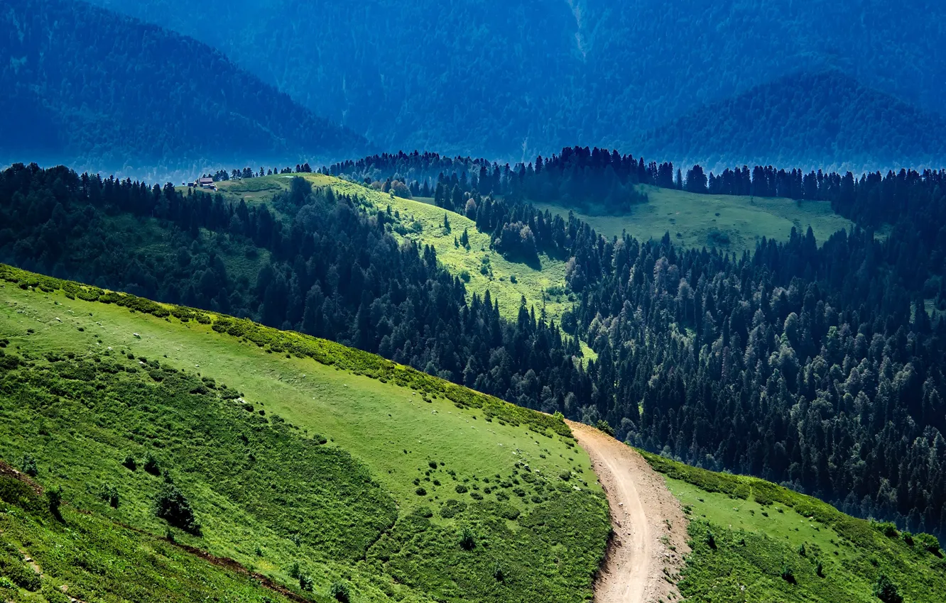 Фото обои дорога, зелень, лес, деревья, горы, склон, Россия, солнечно
