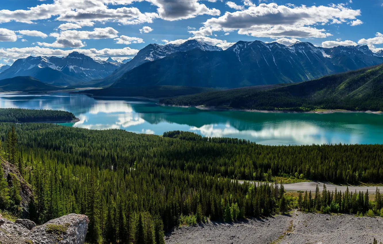 Фото обои лес, горы, озеро, Канада, панорама, Альберта, Alberta, Canada