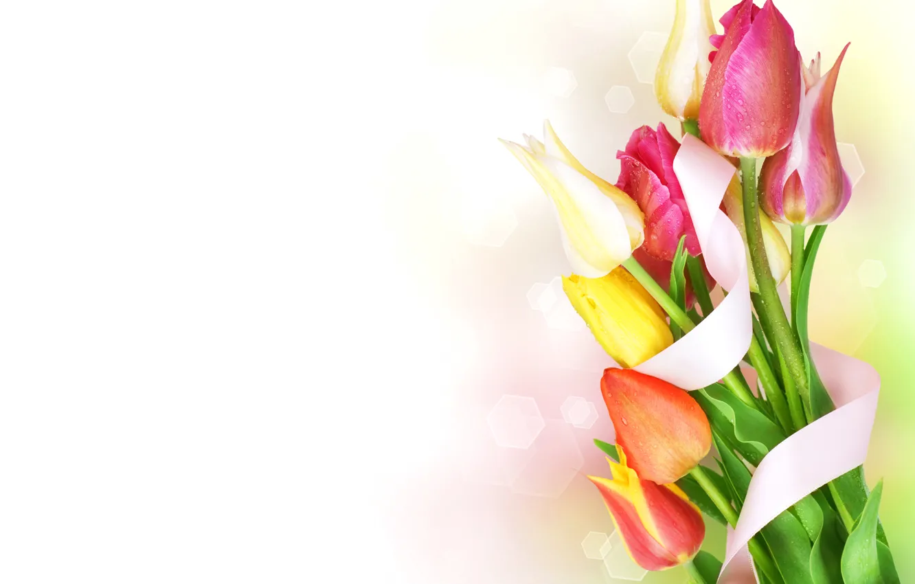 Фото обои капли, букет, лента, тюльпаны, flowers, beautiful, боке, spring