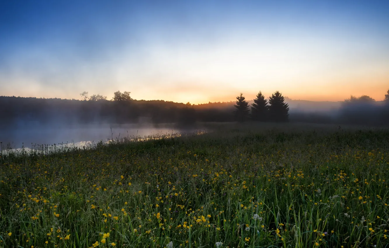 Фото обои поле, пейзаж, туман, река, утро