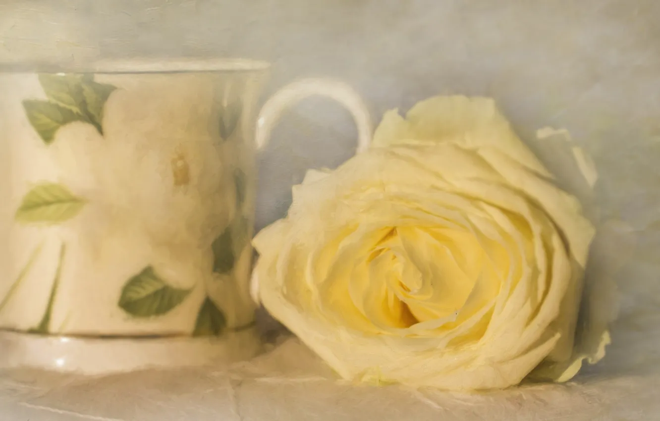 Фото обои роза, текстура, бутон, арт, жёлтая роза