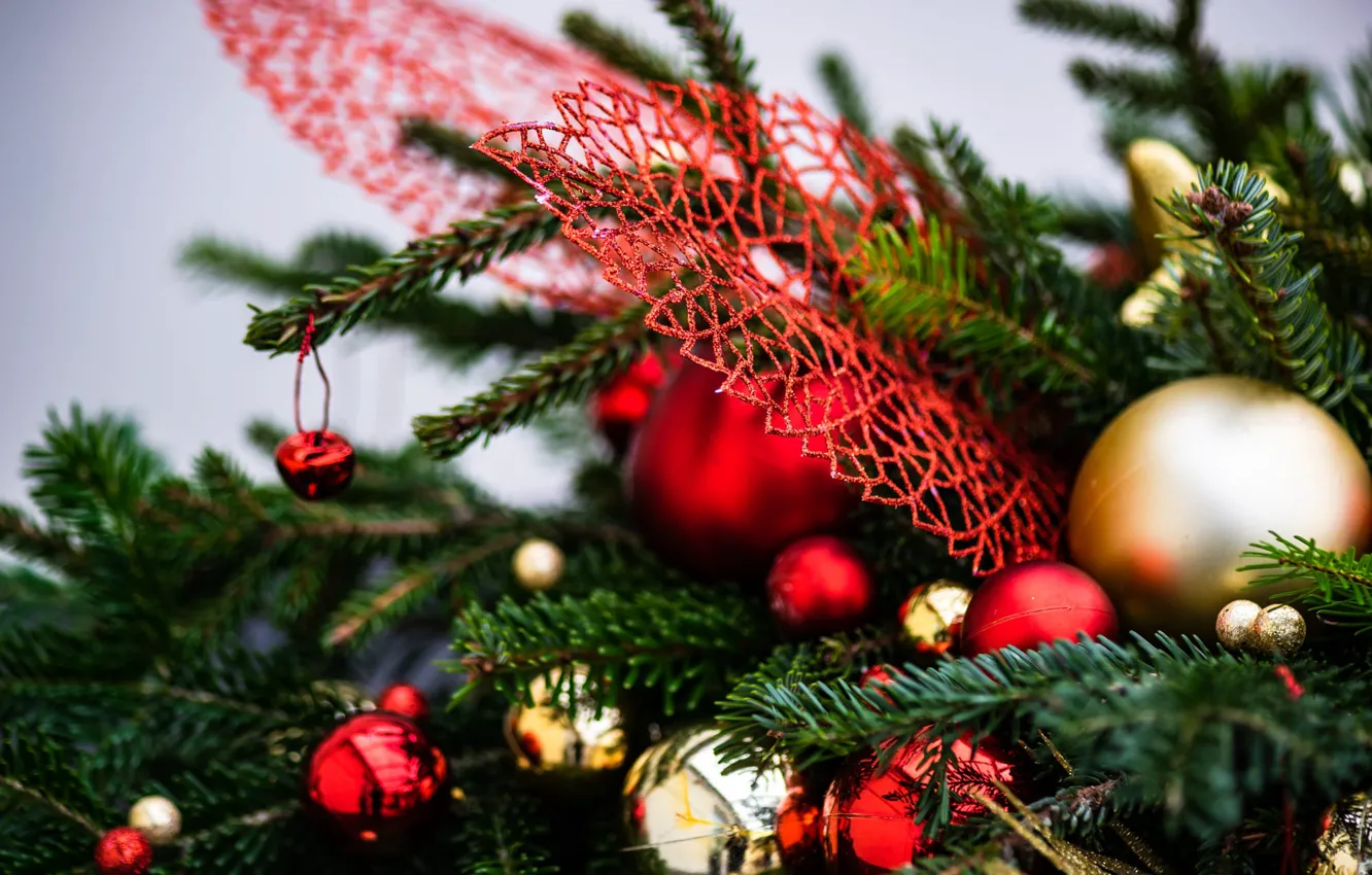 Фото обои зима, шарики, ветки, праздник, шары, Рождество, красные, Новый год
