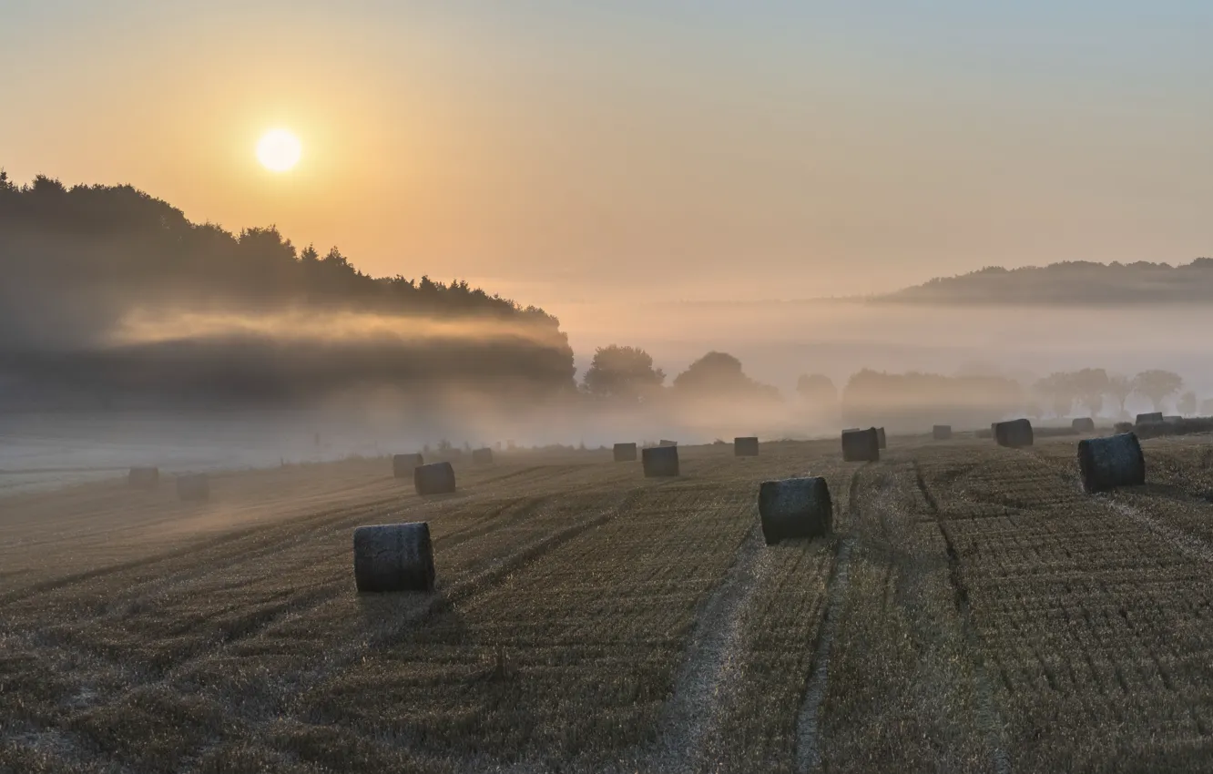 Фото обои поле, лето, туман, сено