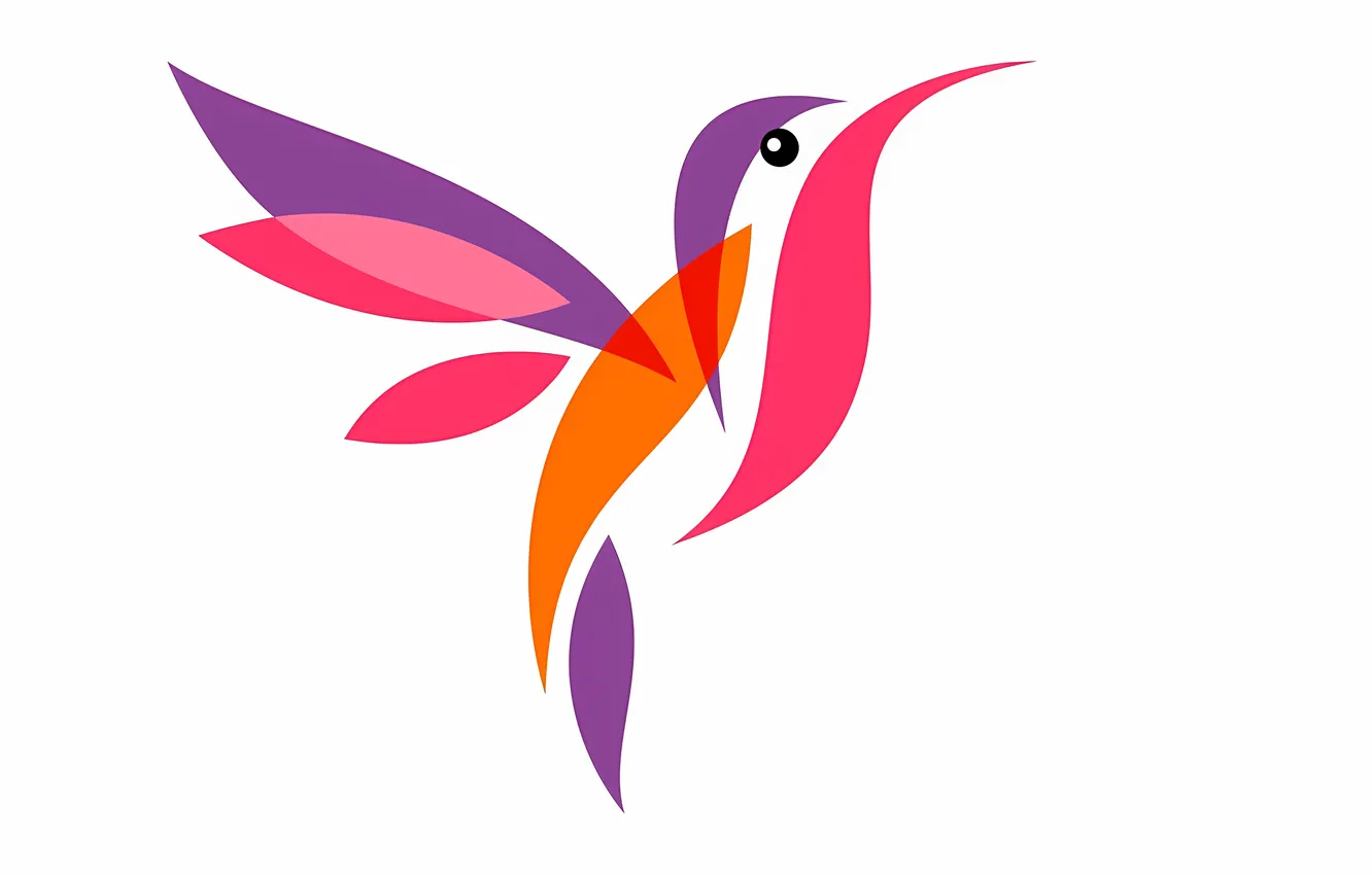 Фото обои colorful, bird, multicolor, hummingbird, stylized hummingbird, short tail