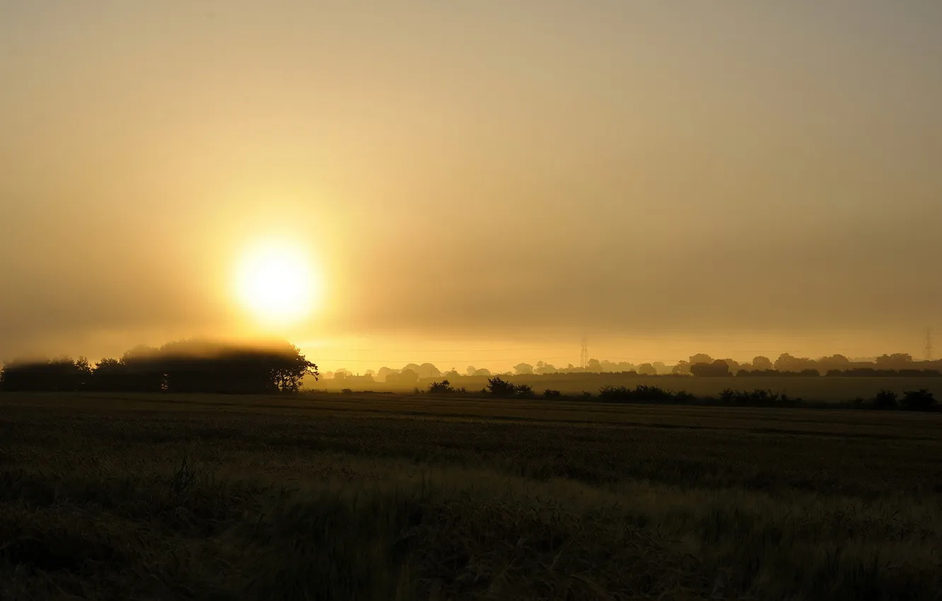 Фото обои поле, пейзаж, туман, Pale Morning