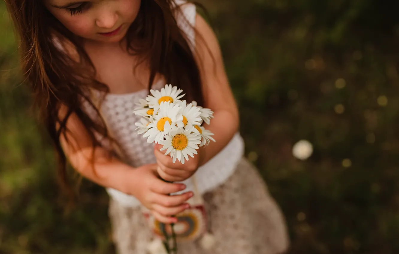Фото обои цветы, ромашки, девочка