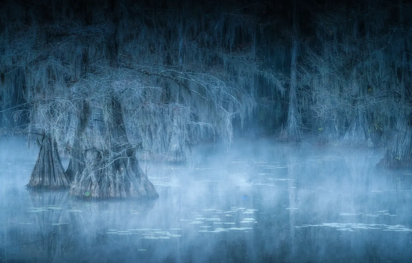 Фото обои grey, water, lake, morning, fog, mist, spooky, ghosts