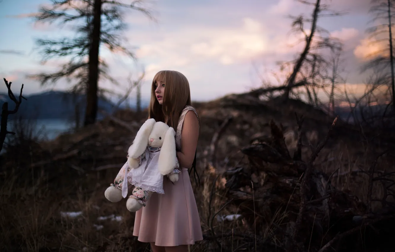 Фото обои лес, девушка, игрушка, платье, Lichon