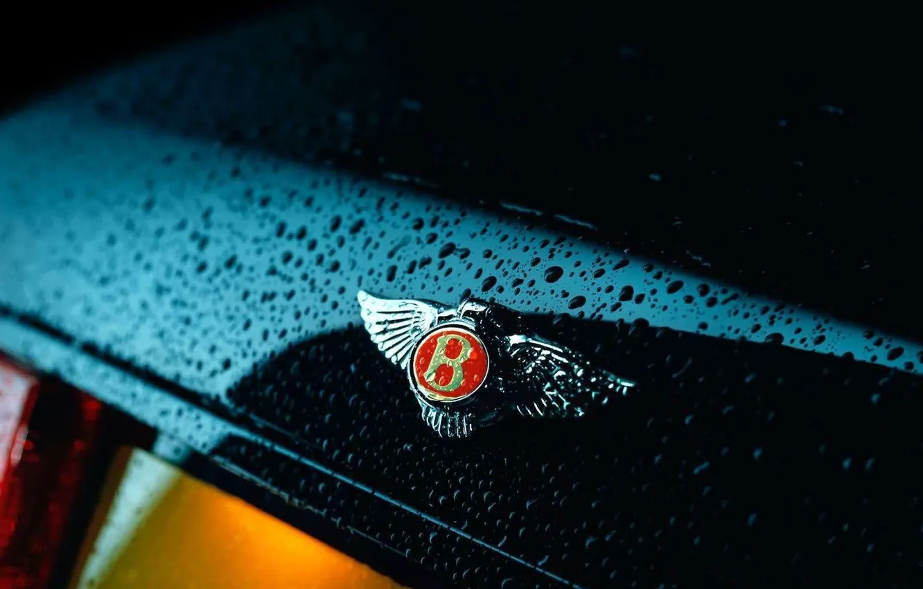 Фото обои капли, Bentley, логотип, Бентли