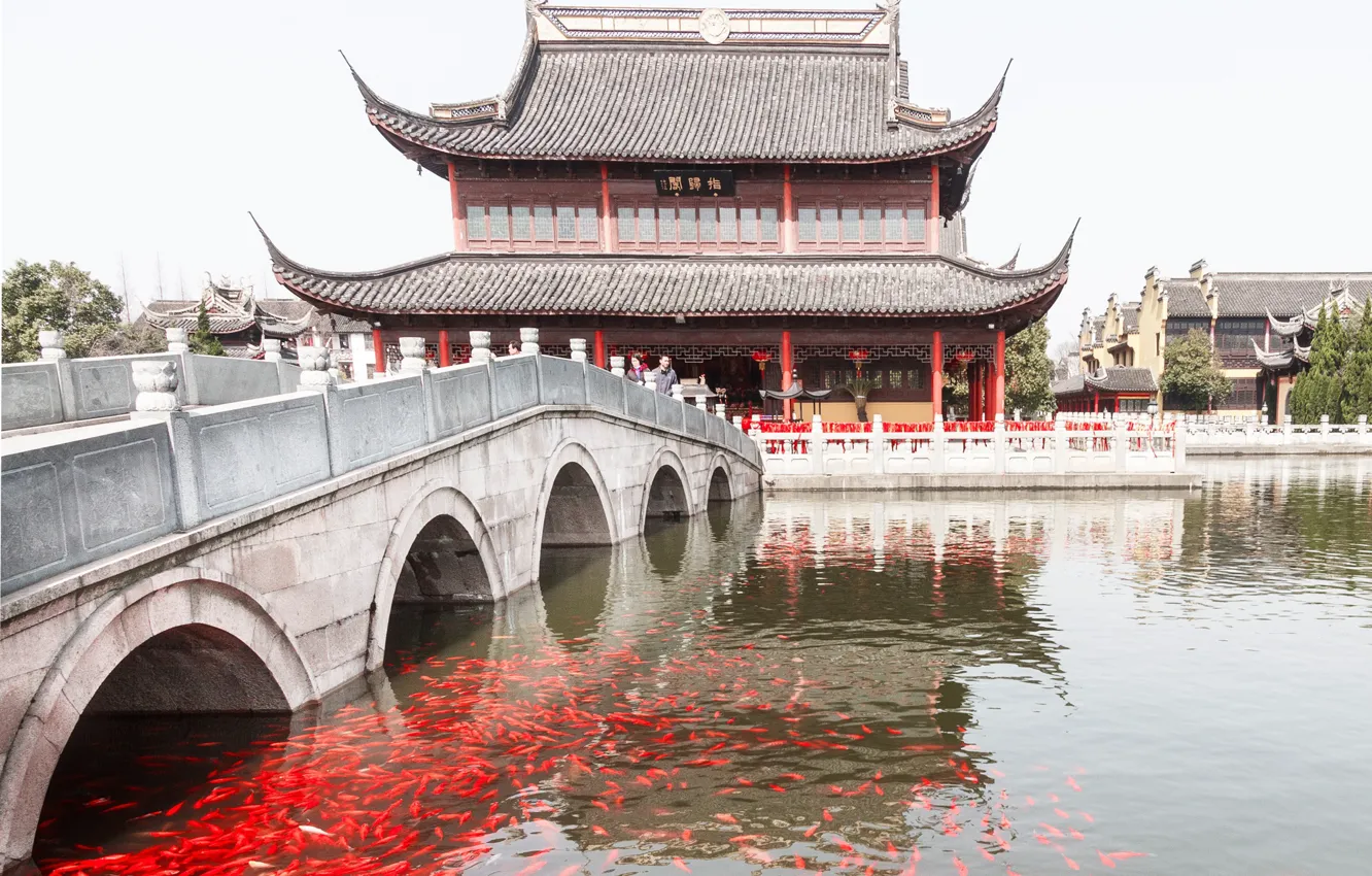 Фото обои рыбки, мост, Китай, канал, храм, Цзинхан, Чжоучжуан, Восточная Венеция