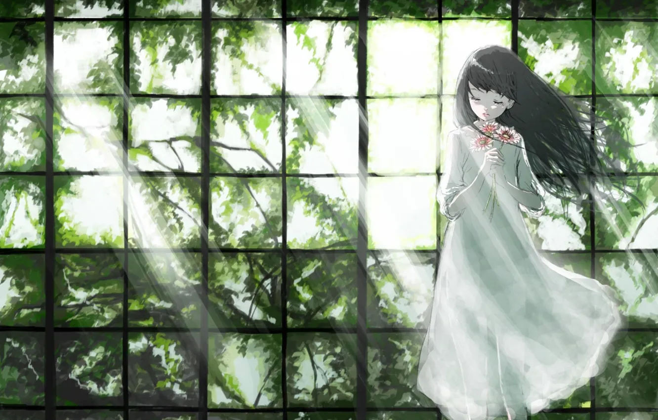 Фото обои свет, цветы, ветки, листва, окно, Девочка, белое платье, закрытые глаза