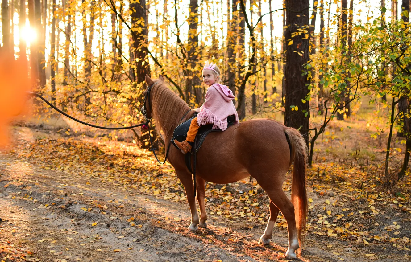 Фото обои дорога, осень, лес, взгляд, конь, лошадь, ребенок, девочка