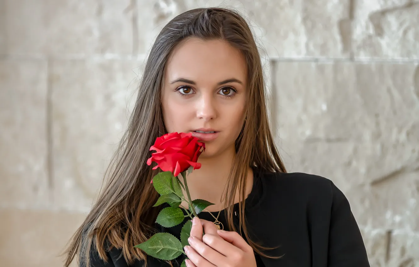 Фото обои взгляд, девушка, волосы, роза