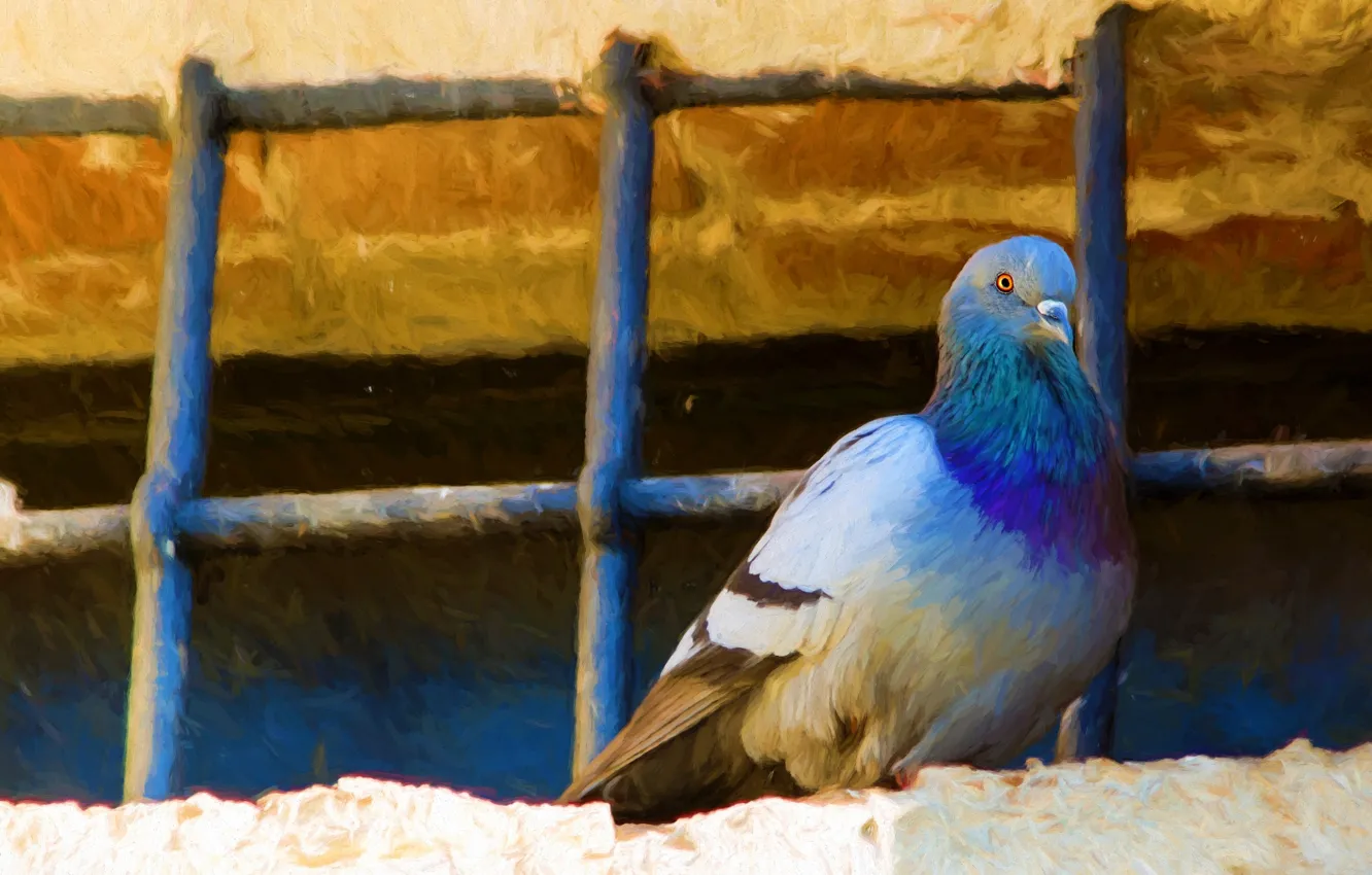 Фото обои крыша, птица, решетка, голуби, живопись