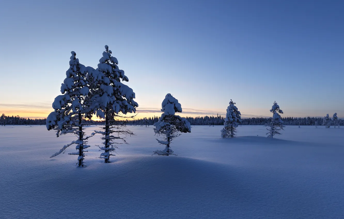 Фото обои зима, снег, утро, Finland, Lapland